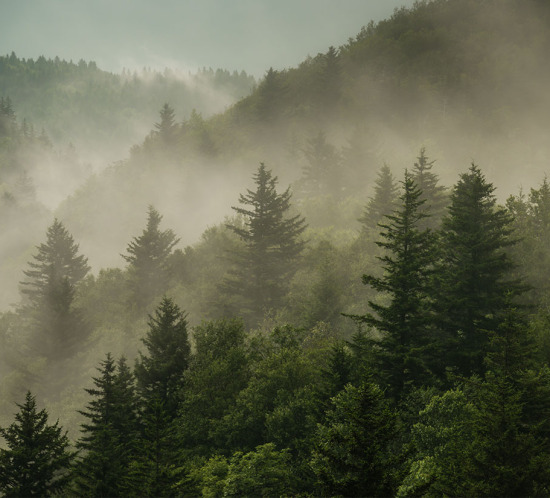 b-portugal-2013-road-trip-gallery-02