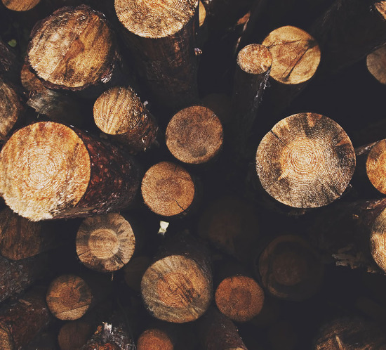 b-recent-trends-in-storytelling